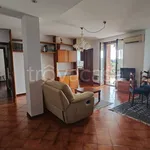 Rent 4 bedroom apartment of 134 m² in Pavia