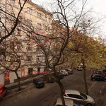 Rent 2 bedroom apartment of 80 m² in Prague