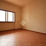 Rent 4 bedroom apartment of 100 m² in Trapani