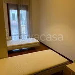 Rent 3 bedroom apartment of 100 m² in Padova