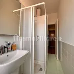 Rent 2 bedroom apartment of 50 m² in Milan