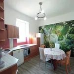 Rent 2 bedroom apartment in Kroměříž