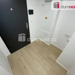 Rent 1 bedroom apartment in Capital City of Prague