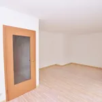 Rent 1 bedroom apartment of 33 m² in Chemnitz