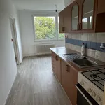 Rent 2 bedroom apartment in Děčín