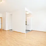 Rent 1 bedroom house in Brno