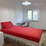 Rent a room of 80 m² in lisbon