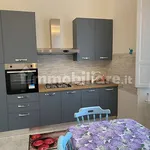 Rent 4 bedroom apartment of 120 m² in Pisa