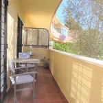 Rent 2 bedroom apartment of 77 m² in  Mairena del Aljarafe