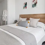 Rent 1 bedroom apartment in Madrid