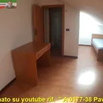 Affitto 1 camera appartamento di 40 m² in Pavia