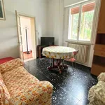 Rent 3 bedroom apartment of 75 m² in Ferrara