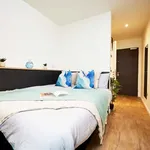 Rent 1 bedroom apartment in Coventry