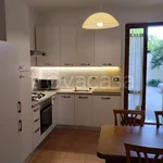 Rent 3 bedroom apartment of 100 m² in Civitanova Marche