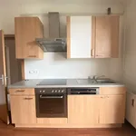 Rent 2 bedroom apartment of 50 m² in Graz