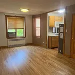 Rent 1 bedroom apartment in NY