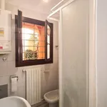 Affitto 1 camera appartamento di 36 m² in Bologna