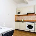 Studio o rozloze 30 m² v prague