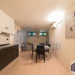 Rent 1 bedroom apartment of 40 m² in Peschiera Borromeo