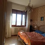 Rent 3 bedroom apartment of 85 m² in Pisa