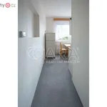 Rent 3 bedroom apartment of 54 m² in Neratovice