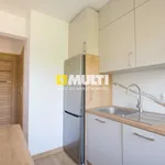 Rent 3 bedroom apartment of 53 m² in SZCZECIN