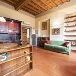 Rent 2 bedroom apartment of 60 m² in Firenze