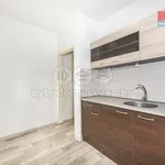 Rent 1 bedroom apartment of 29 m² in Ústí nad Labem