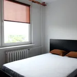 Rent 2 bedroom apartment of 48 m² in Warszawa, Hawajska