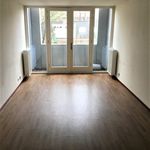 Rent 1 bedroom apartment of 65 m² in De Baan e.o.