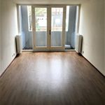 Huur 1 slaapkamer appartement van 65 m² in De Baan e.o.