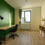 Rent 4 bedroom apartment of 119 m² in Meerrijk