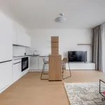 Rent 1 bedroom apartment in Prague