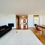 Rent 2 bedroom apartment of 85 m² in Vienna