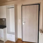 Rent 1 bedroom apartment of 50 m² in Athens