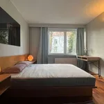 Rent a room in brussels