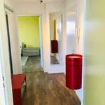 Rent 2 bedroom apartment of 60 m² in Dresden