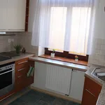 Rent 4 bedroom apartment in Pardubice