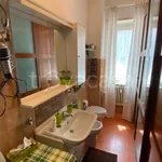 Rent 1 bedroom apartment of 30 m² in Torino