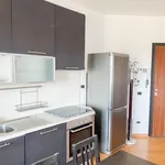 Rent 1 bedroom apartment in Milan