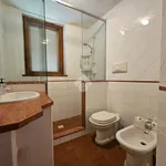 Rent 1 bedroom house of 180 m² in Latina