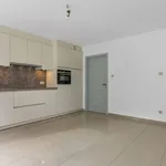 Rent 4 bedroom apartment in Beringen