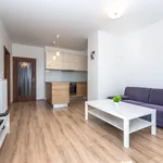 Pronajměte si 2 ložnic/e byt o rozloze 54 m² v Capital City of Prague