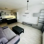 Rent 2 bedroom apartment of 58 m² in České Budějovice