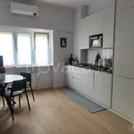 Rent 2 bedroom apartment of 50 m² in Roma