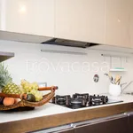 Rent 1 bedroom apartment of 38 m² in Firenze