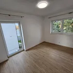 Rent 1 bedroom house of 240 m² in Prague