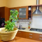 Rent 1 bedroom apartment of 20 m² in SZCZECIN