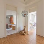 Rent 3 bedroom apartment in Brussels