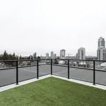 Appartement de 473 m² avec 1 chambre(s) en location à Coquitlam